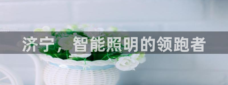 云顶国际游戏网址是什么