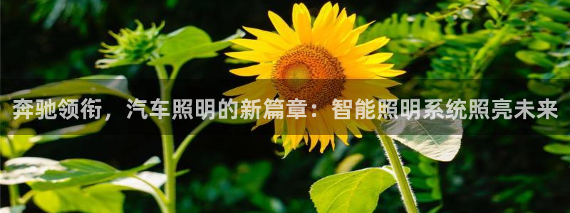 云顶国际的网址是多少啊