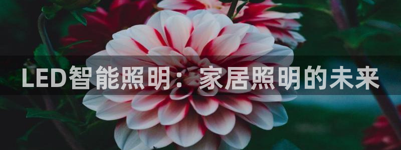 云顶国际的网址是多少啊