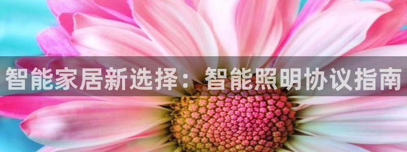 云顶控股集团有限公司
