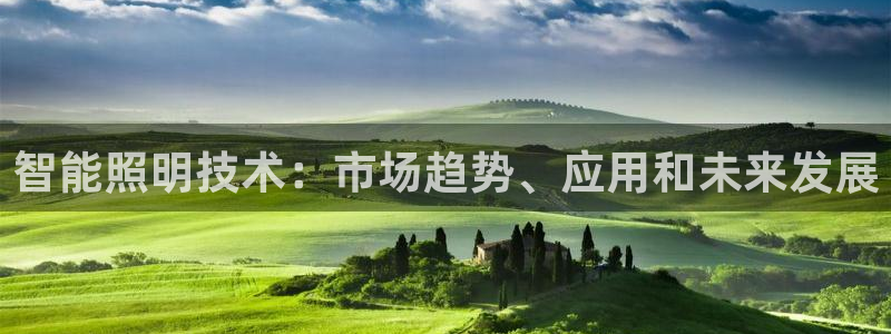 云顶国际商业广场可以充电动车吗