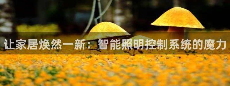 云顶国际网上平台是假的吗?