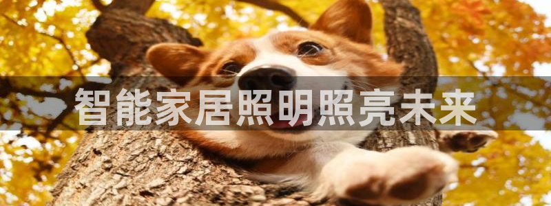 云顶集团电话