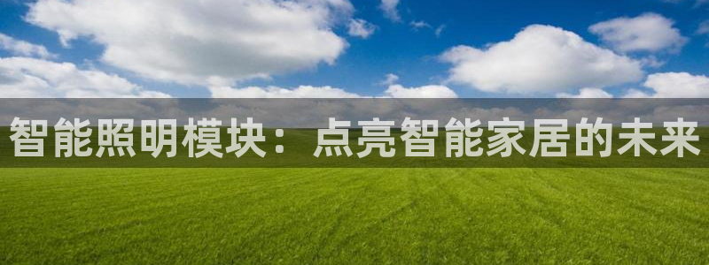 云顶国际是什么公司