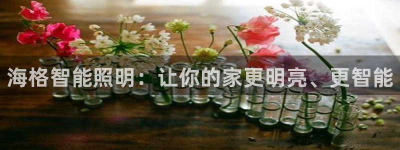 云顶控股集团有限公司