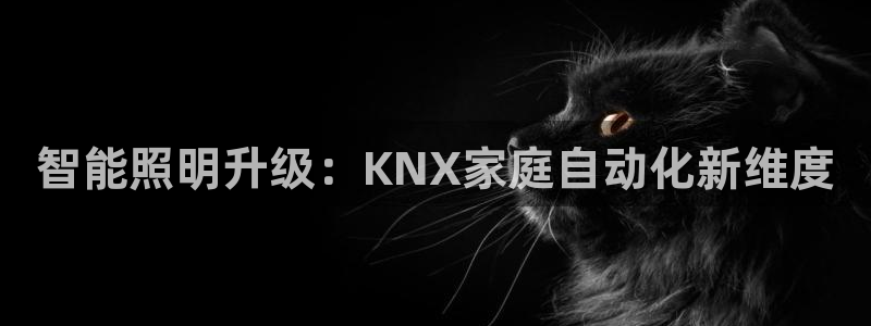 云顶国际服账号交易