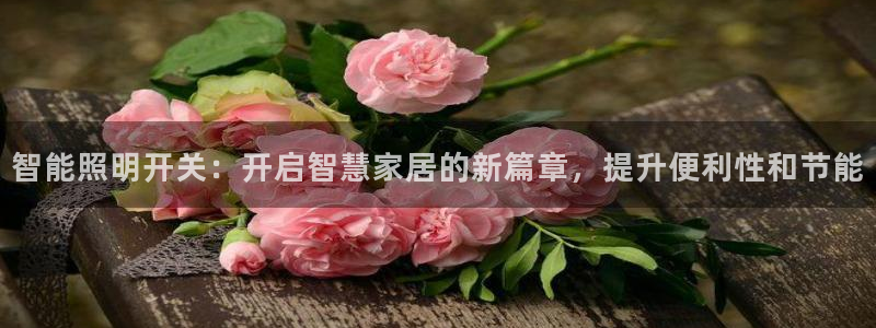 云顶集团中国公司