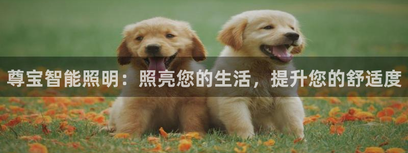 云顶国际真的能取出来吗?