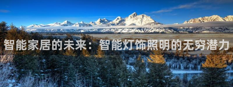 云顶集团董事长林东