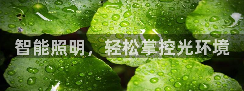 云顶国际二手房
