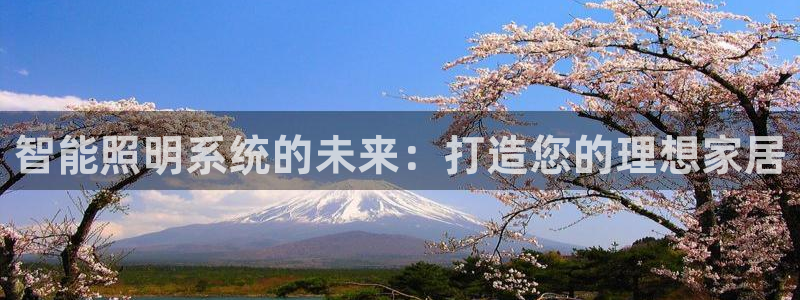 云顶国际投资有限公司