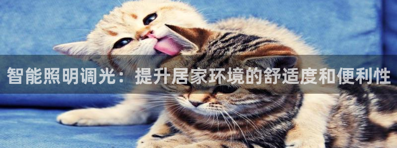云顶国际足球app下载最新版