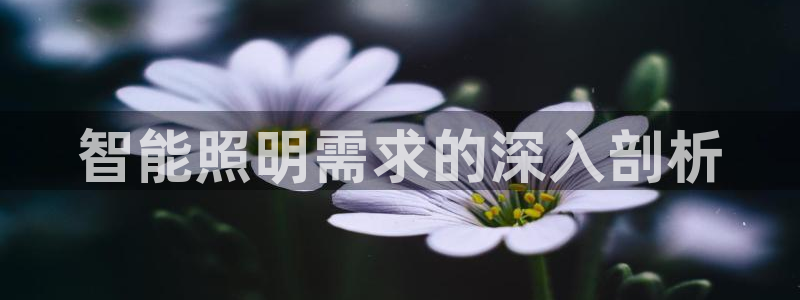 云顶国际公馆房价