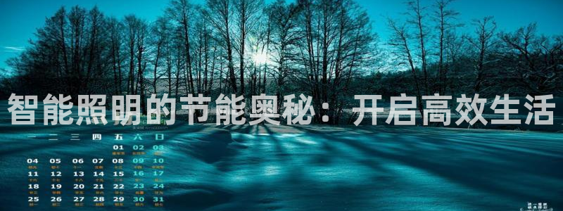 云顶国际服下载