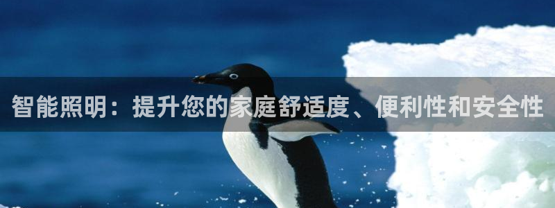 云顶国际服维护时间