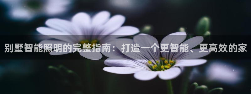 云顶国际app免费下载