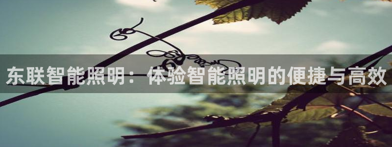 云顶国际在线登录官网