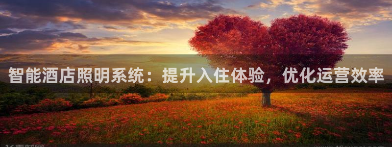 云顶国际老板是谁