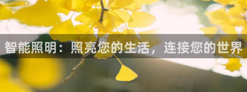 云顶电竞app怎么样