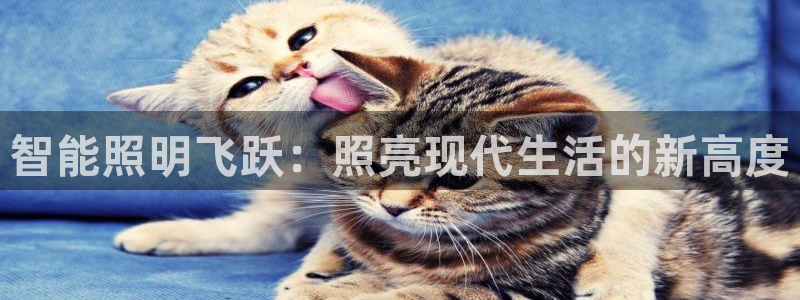 云顶国际小区