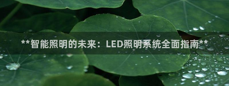 云顶国际公馆二手房