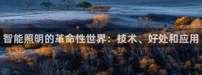 云顶集团3118官网下载