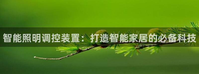 云顶国际官方网站下载手机版