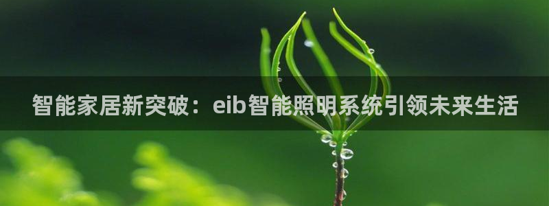 2322云顶