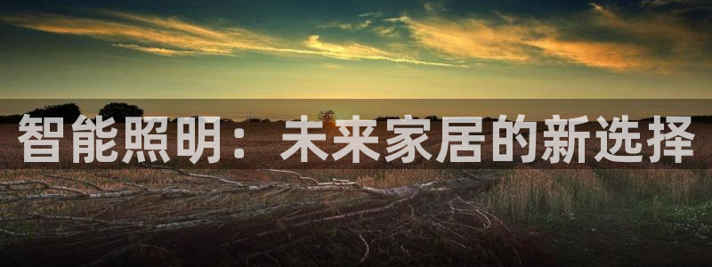 云顶国际平台是真的吗：智能照明：未来家居