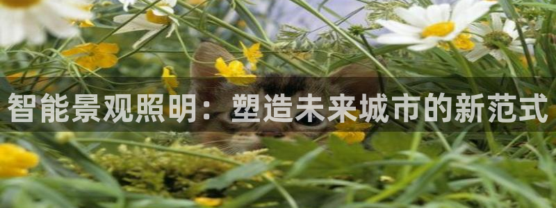 云顶国际会所怎么样：智能景观照明：塑造未