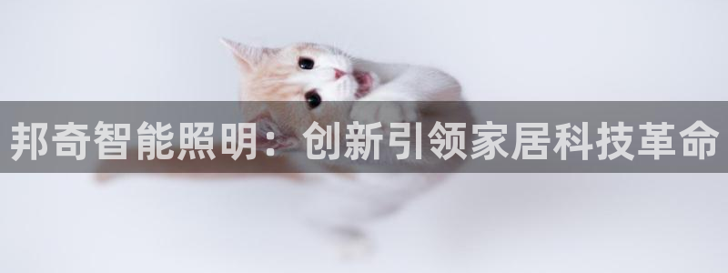云顶国际大酒店是几星级
