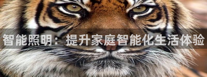 云顶国际平台送彩金58