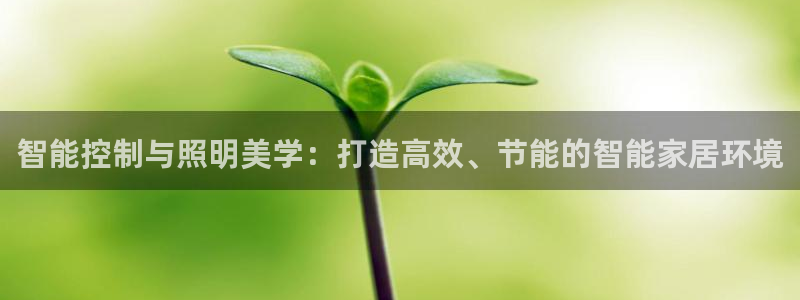 云顶国际平台怎么样