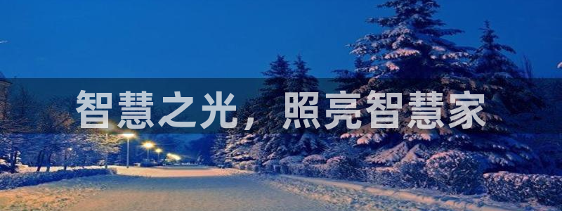 云顶集团网投领